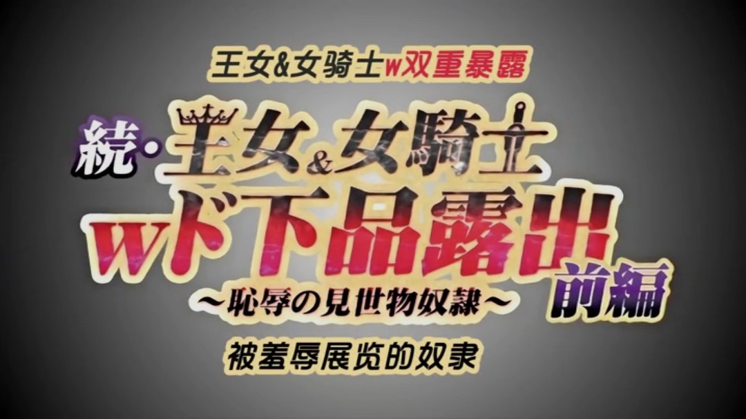 第一集长期持续的超级大国之间的战争以德米纳斯帝国的胜利而告终。引导爱尔斯塔王国走向灭